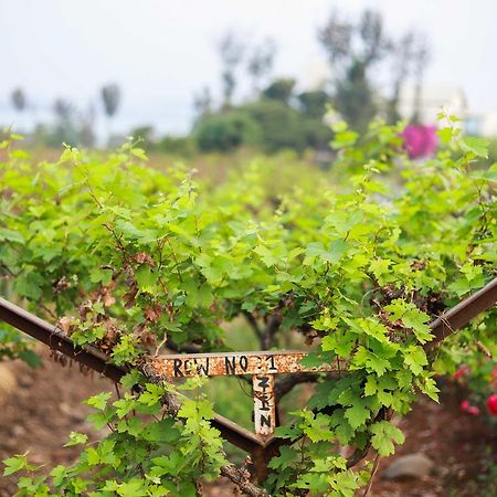 V Resorts Soma Vine Village Mahirāvani Exterior foto